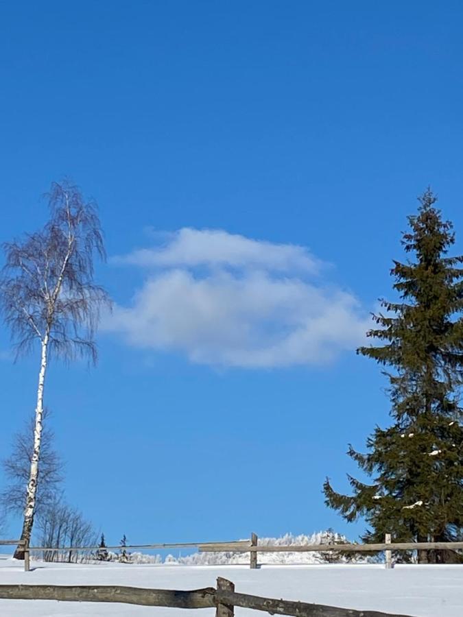 Садиба Anna Slawske Exterior foto